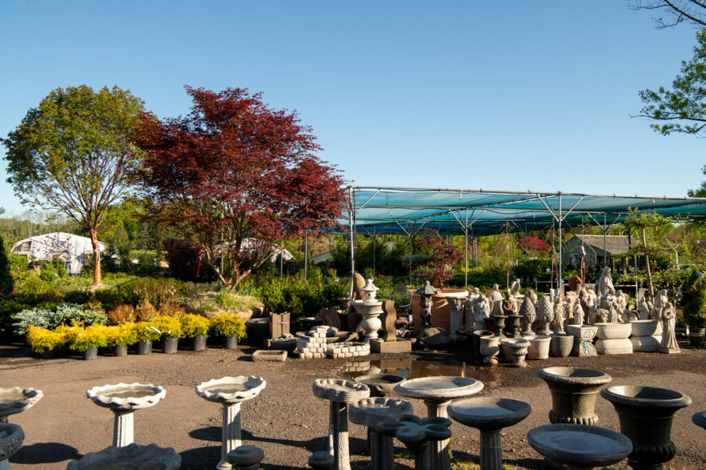 211205_BountifulAcres_Spring_035