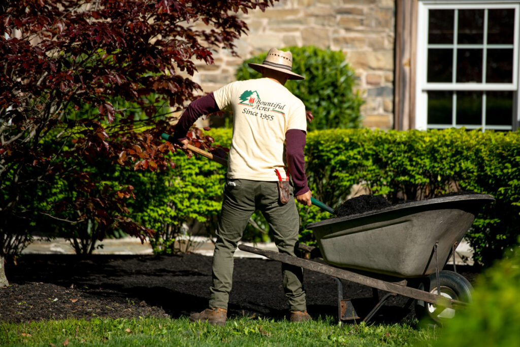 211205_BountifulAcres_Spring_067