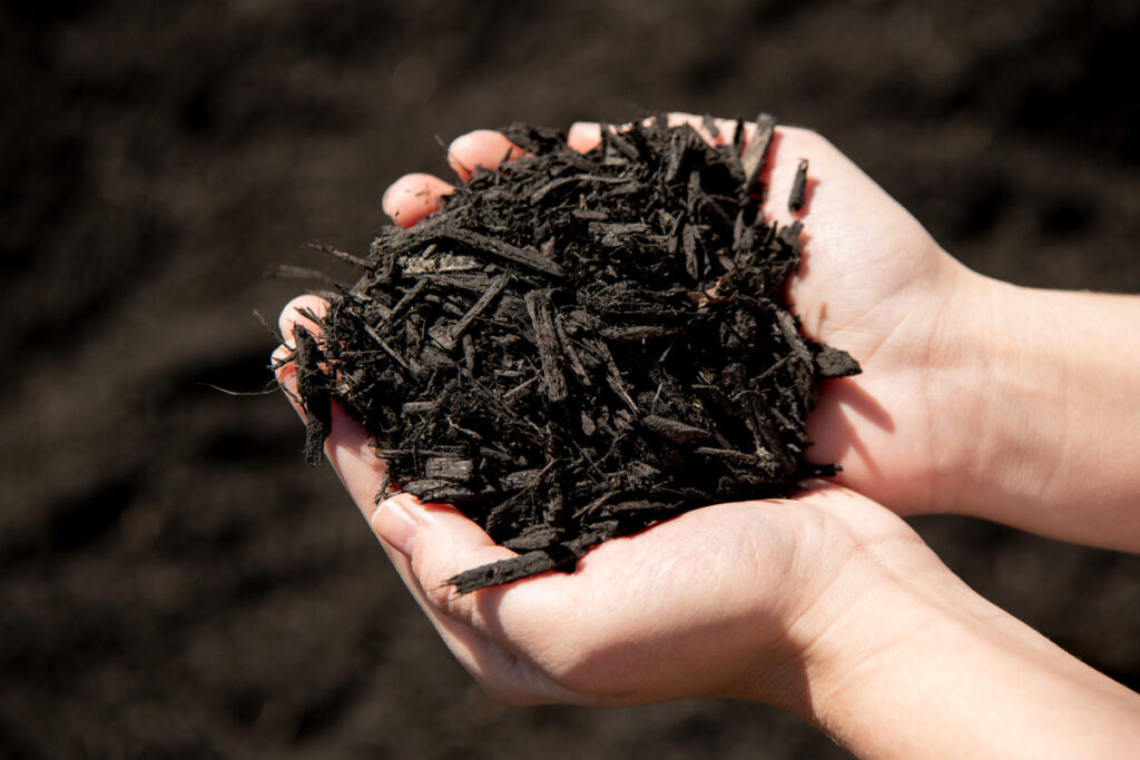 211205_BountifulAcres_Spring_120