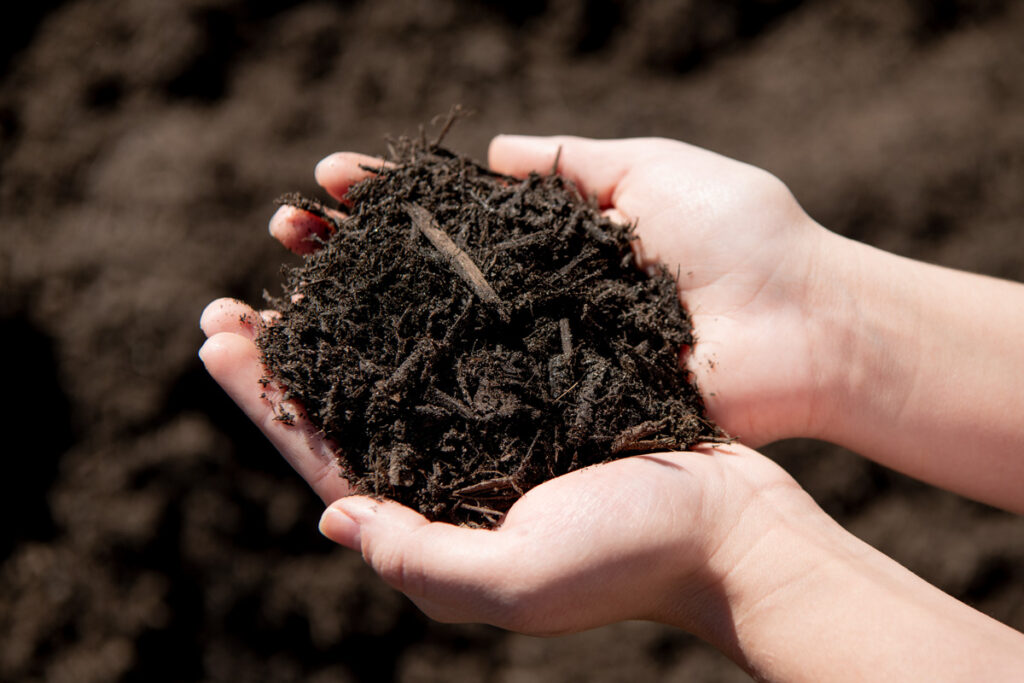 211205_BountifulAcres_Spring_122