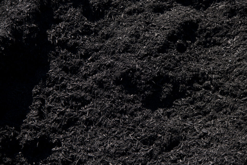 211205_BountifulAcres_Spring_123