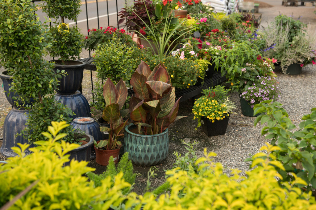 210720_BountifulAcres_002