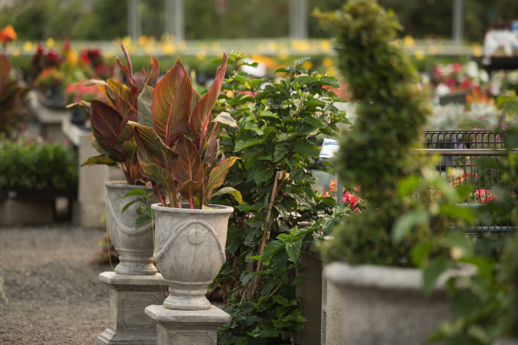 210720_BountifulAcres_006