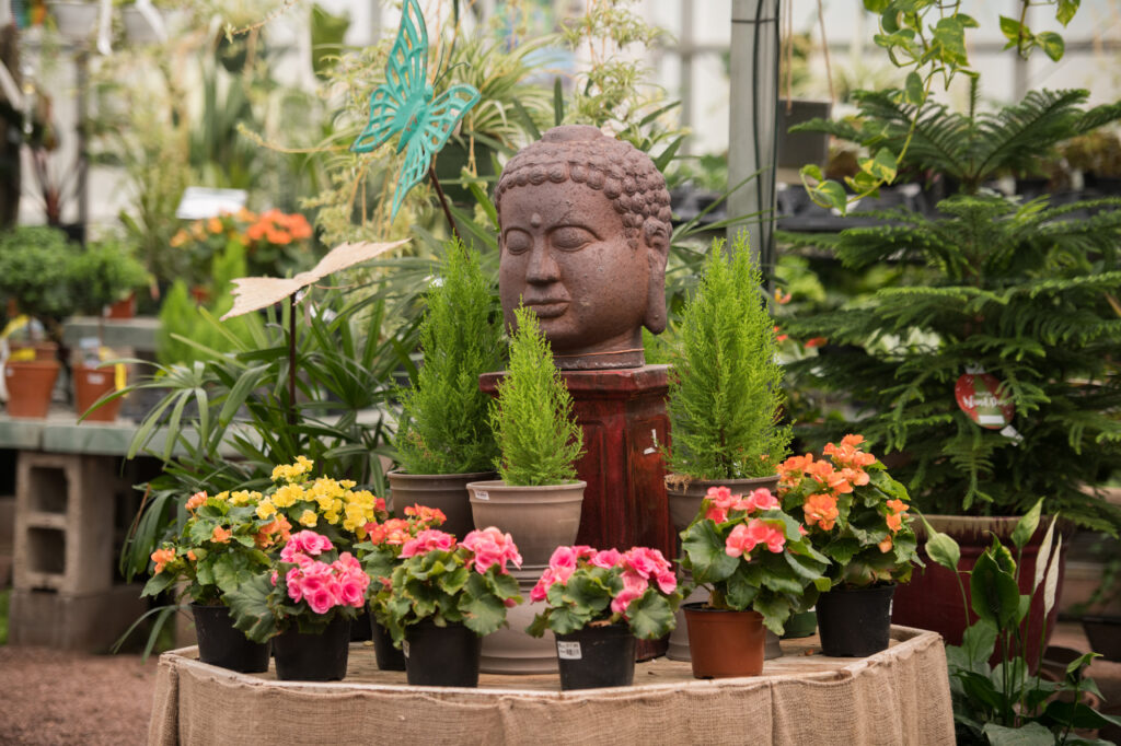 210720_BountifulAcres_156