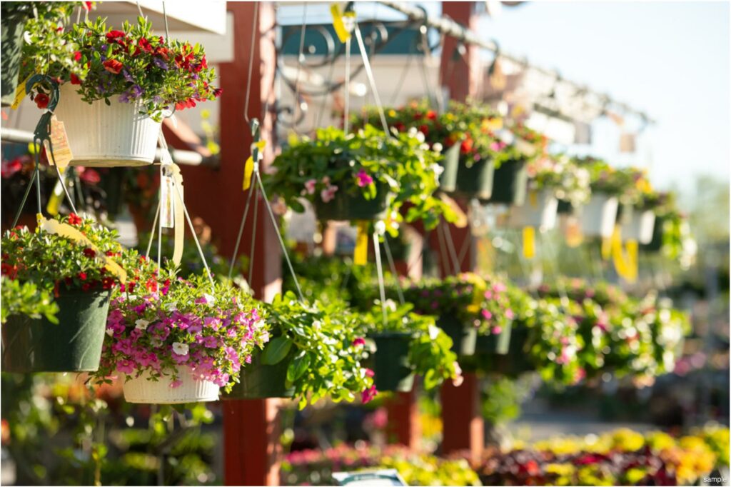 211205_BountifulAcres_Spring_006