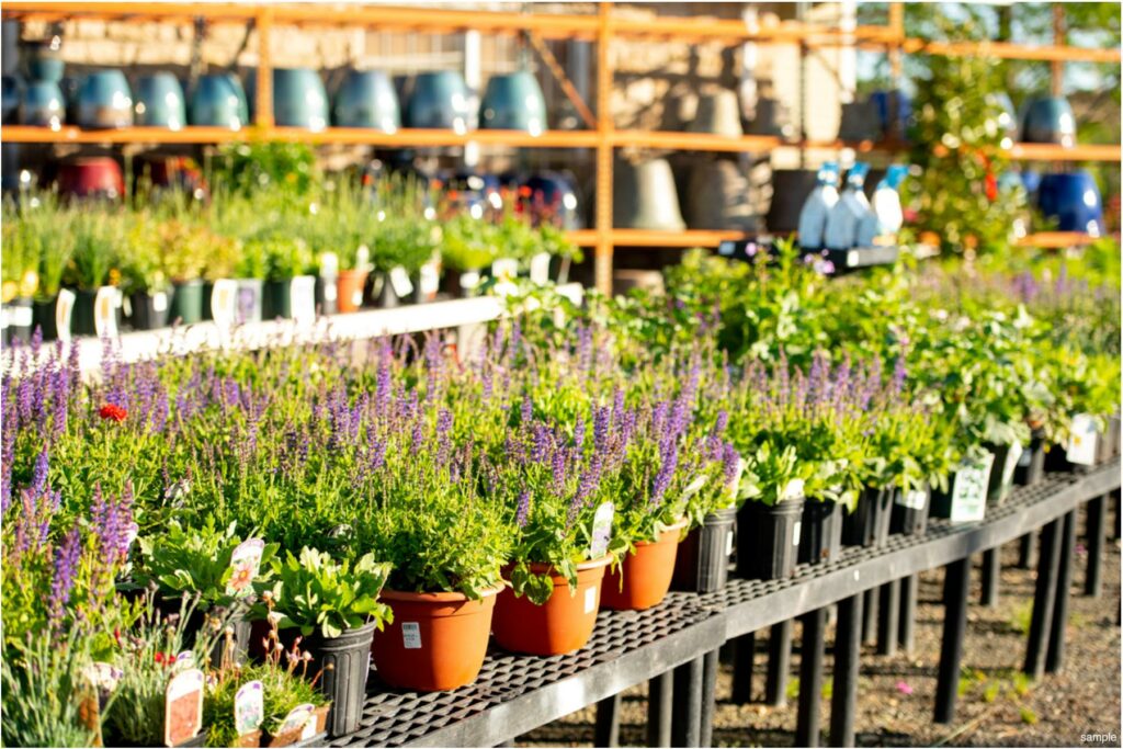 211205_BountifulAcres_Spring_015