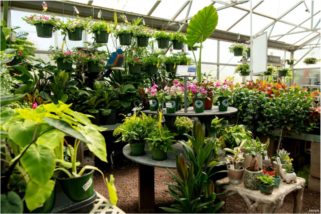 211205_BountifulAcres_Spring_095