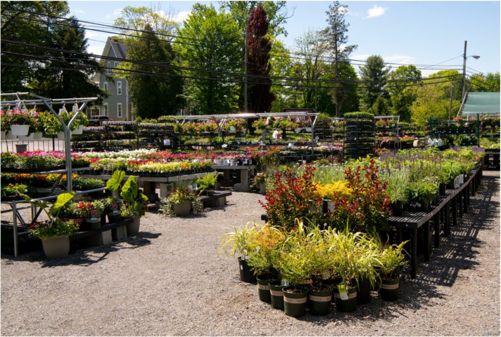 211205_BountifulAcres_Spring_112