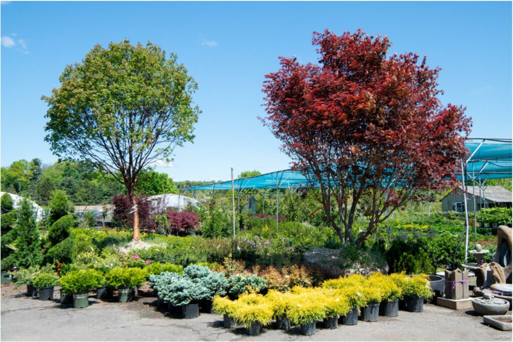 211205_BountifulAcres_Spring_116