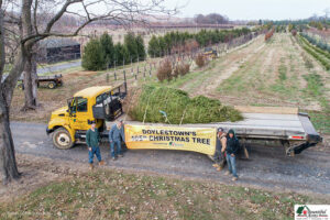 2019 Tree on Truck at farm