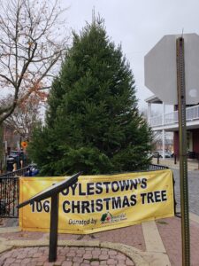 2020 Daytime tree after setup