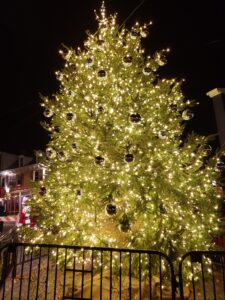 2020 Tree Lit