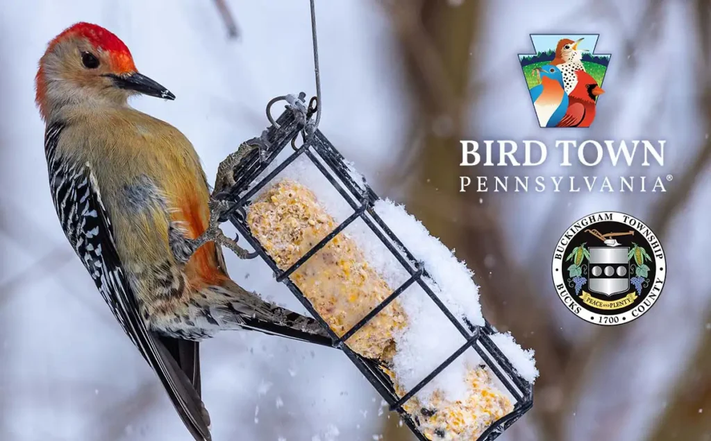 Buckingham official Bird Town Pennsylvania