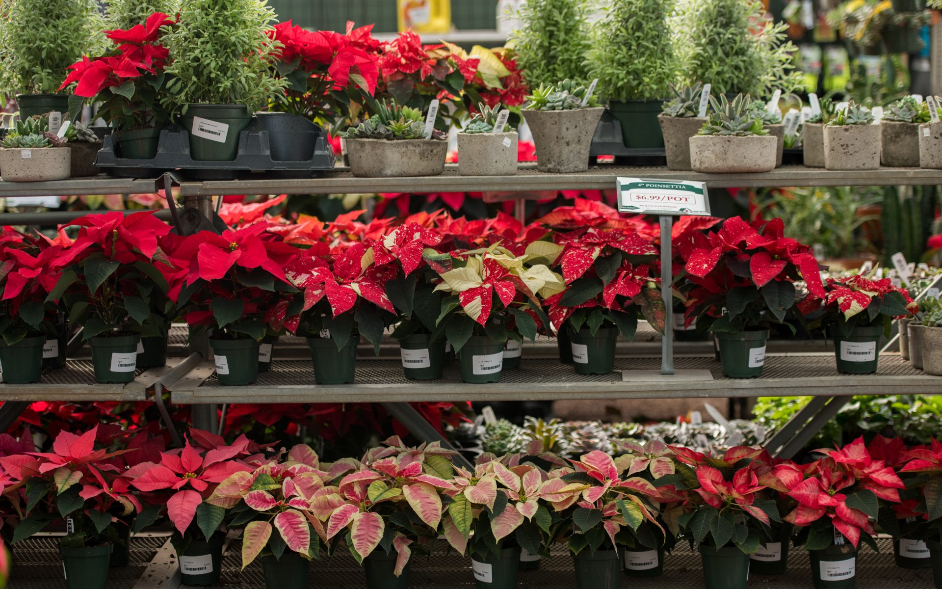 201207_BountifulAcres_Winter_053