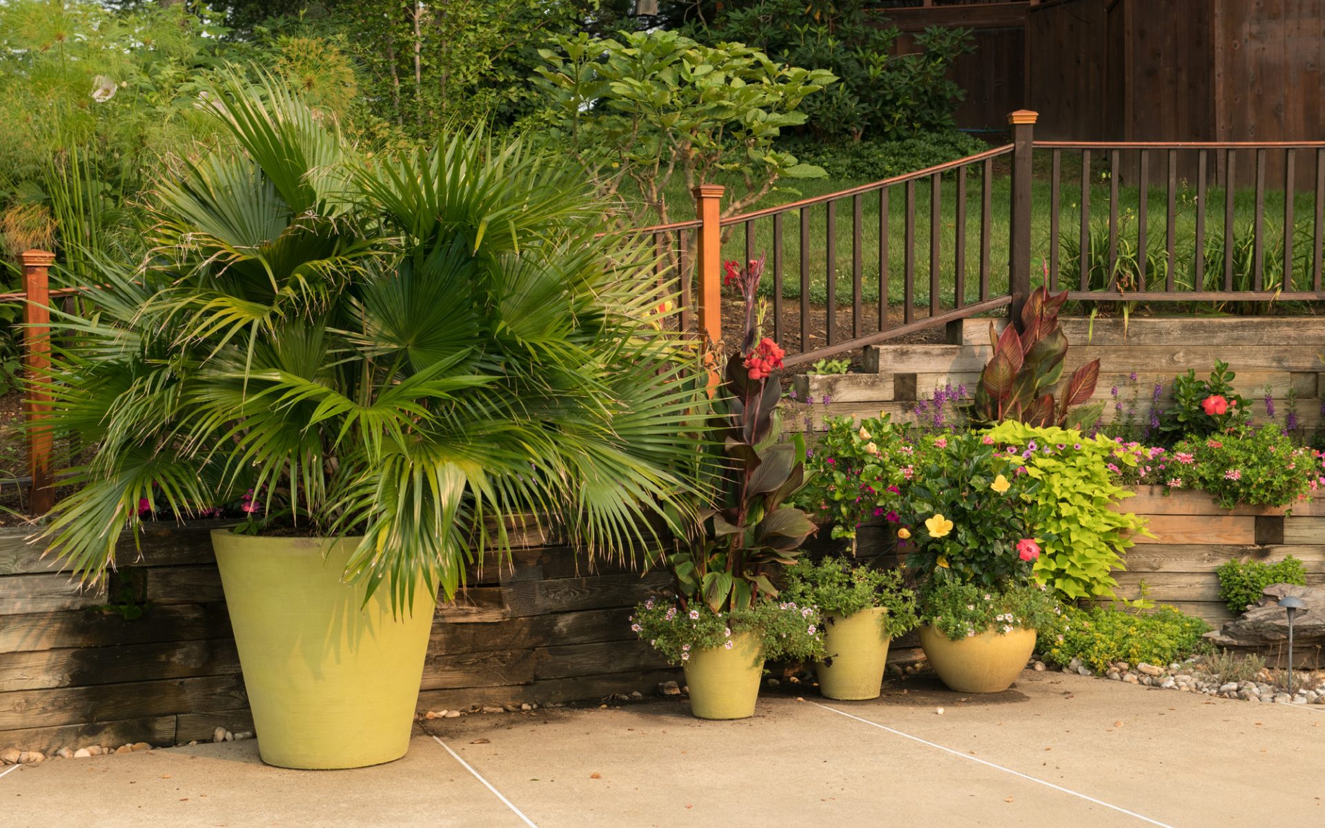 210720_BountifulAcres_040