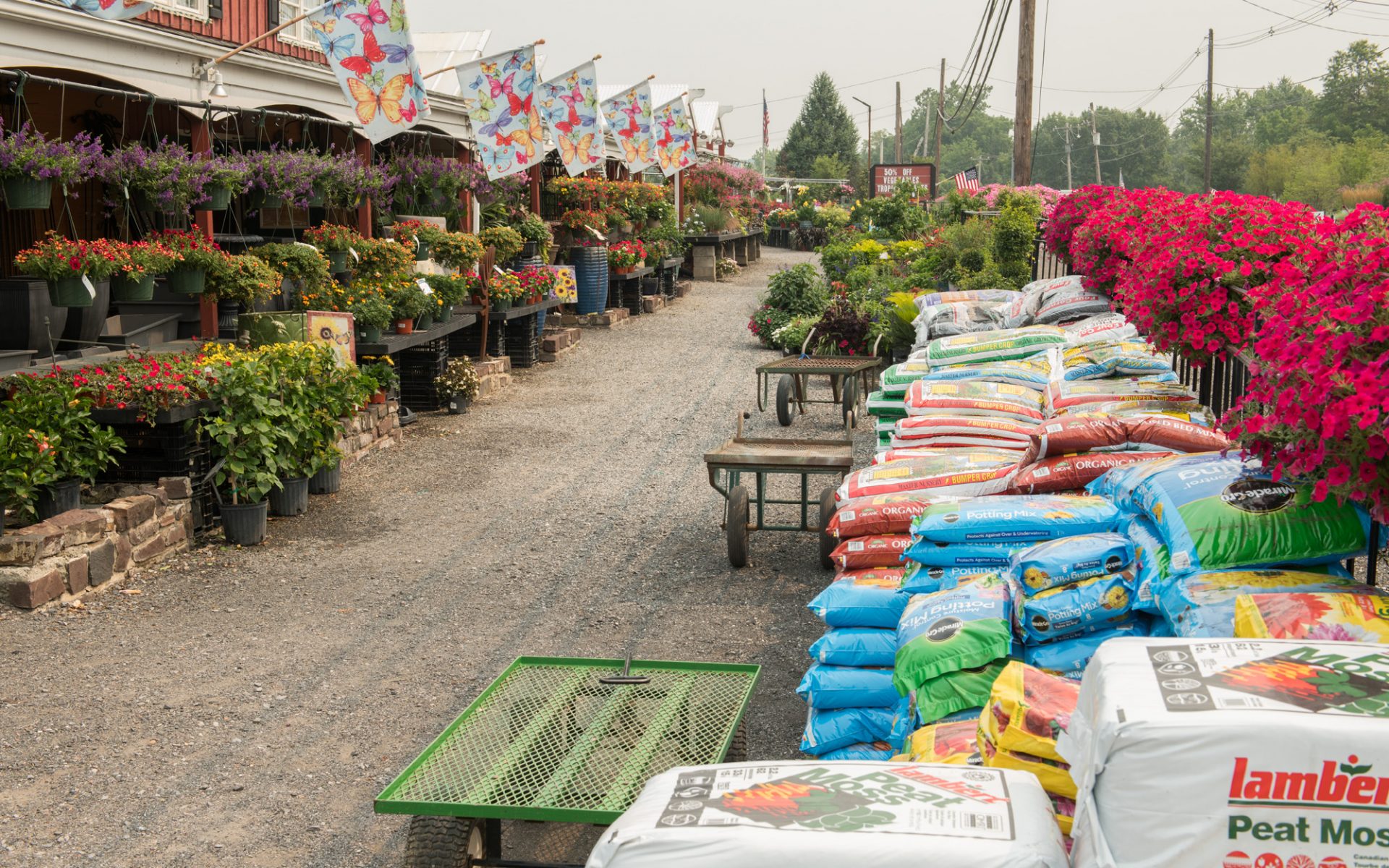 210720_BountifulAcres_149