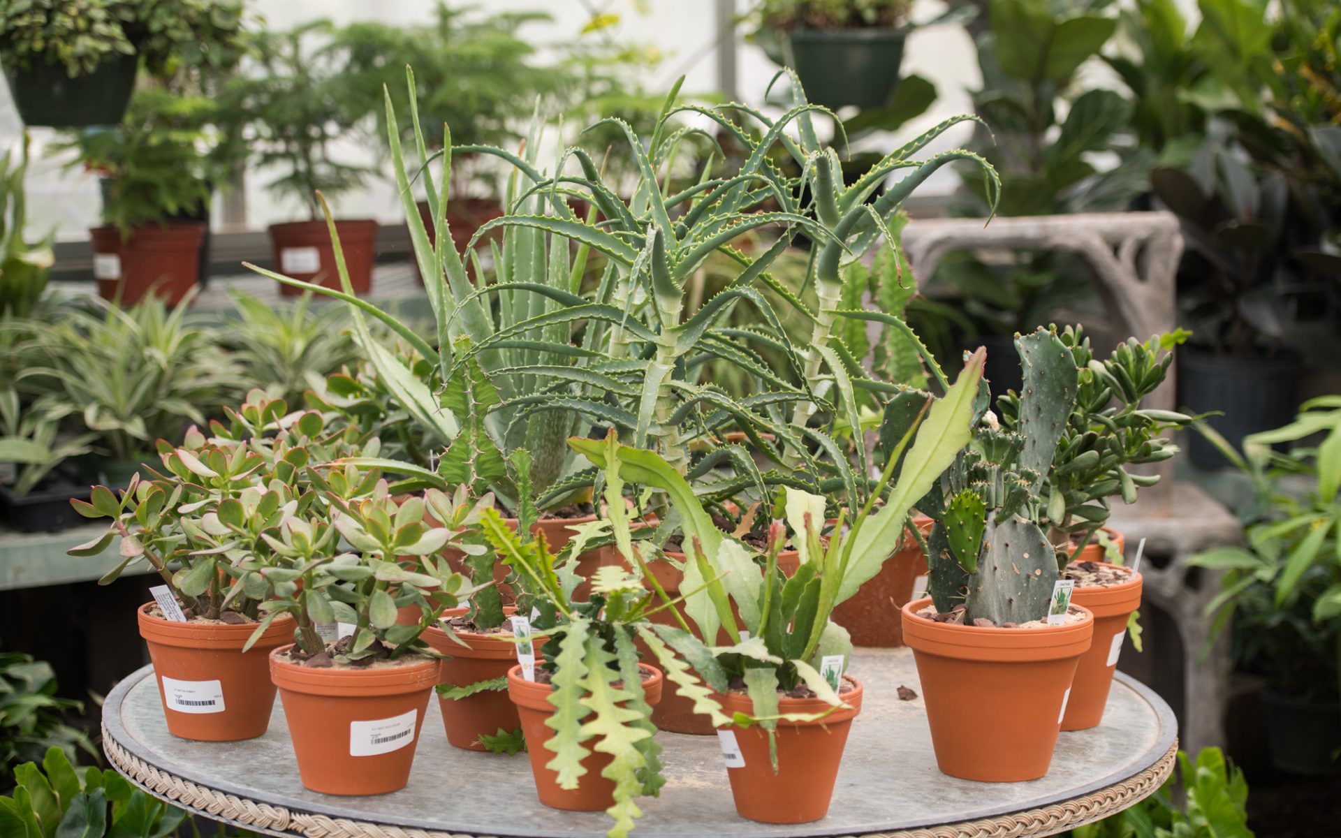 210720_BountifulAcres_162