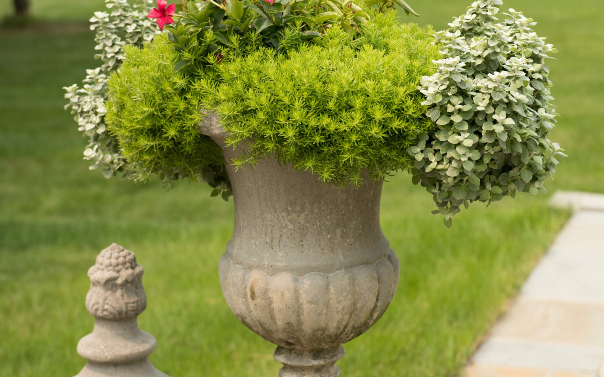 210720_BountifulAcres_198