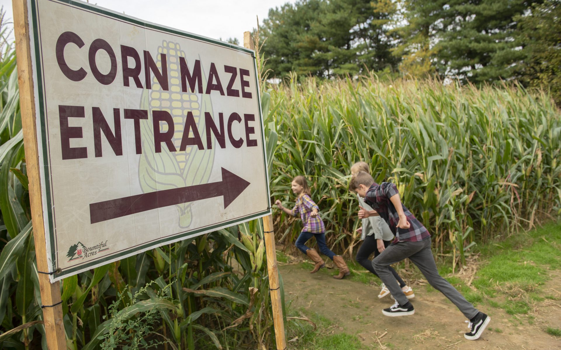 corn maze bucks county