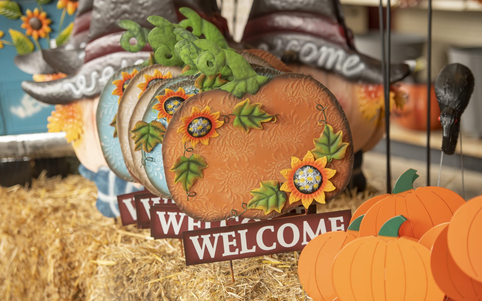 211009_BountifulAcres_210