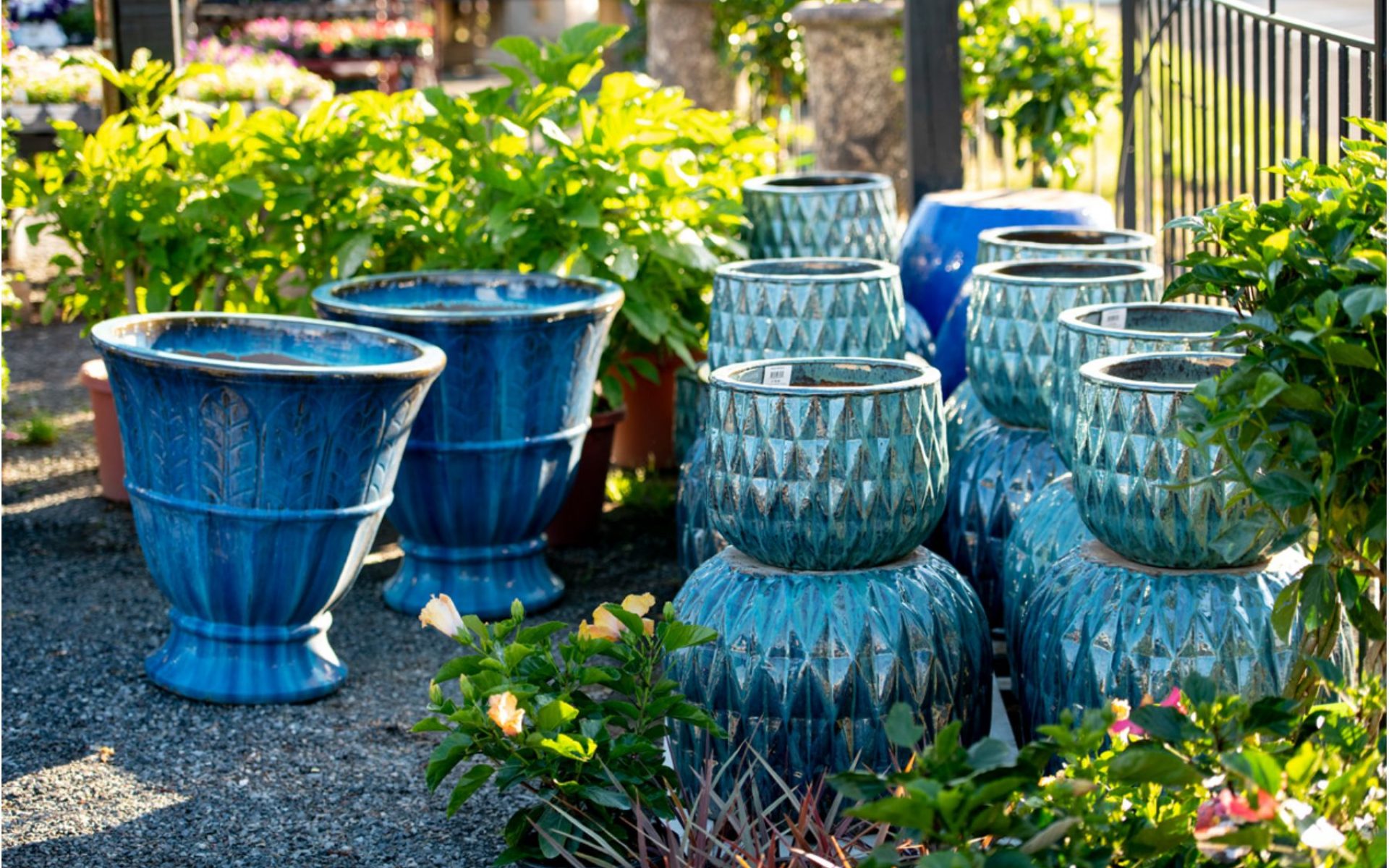 211205_BountifulAcres_Spring_010