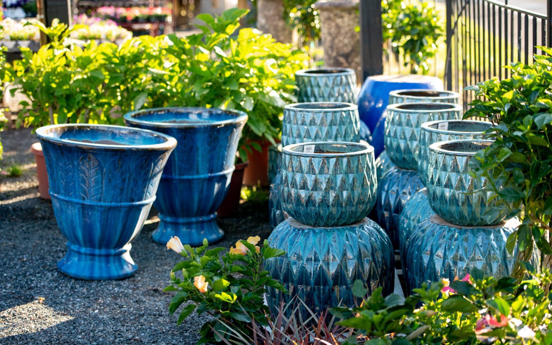 211205_BountifulAcres_Spring_010